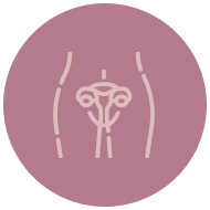 Ícone Histeroscopia Cirurgica
