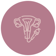 Ícone Histeroscopia Diagnóstica