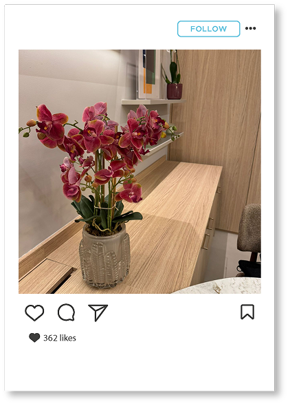 Imagem Instagram